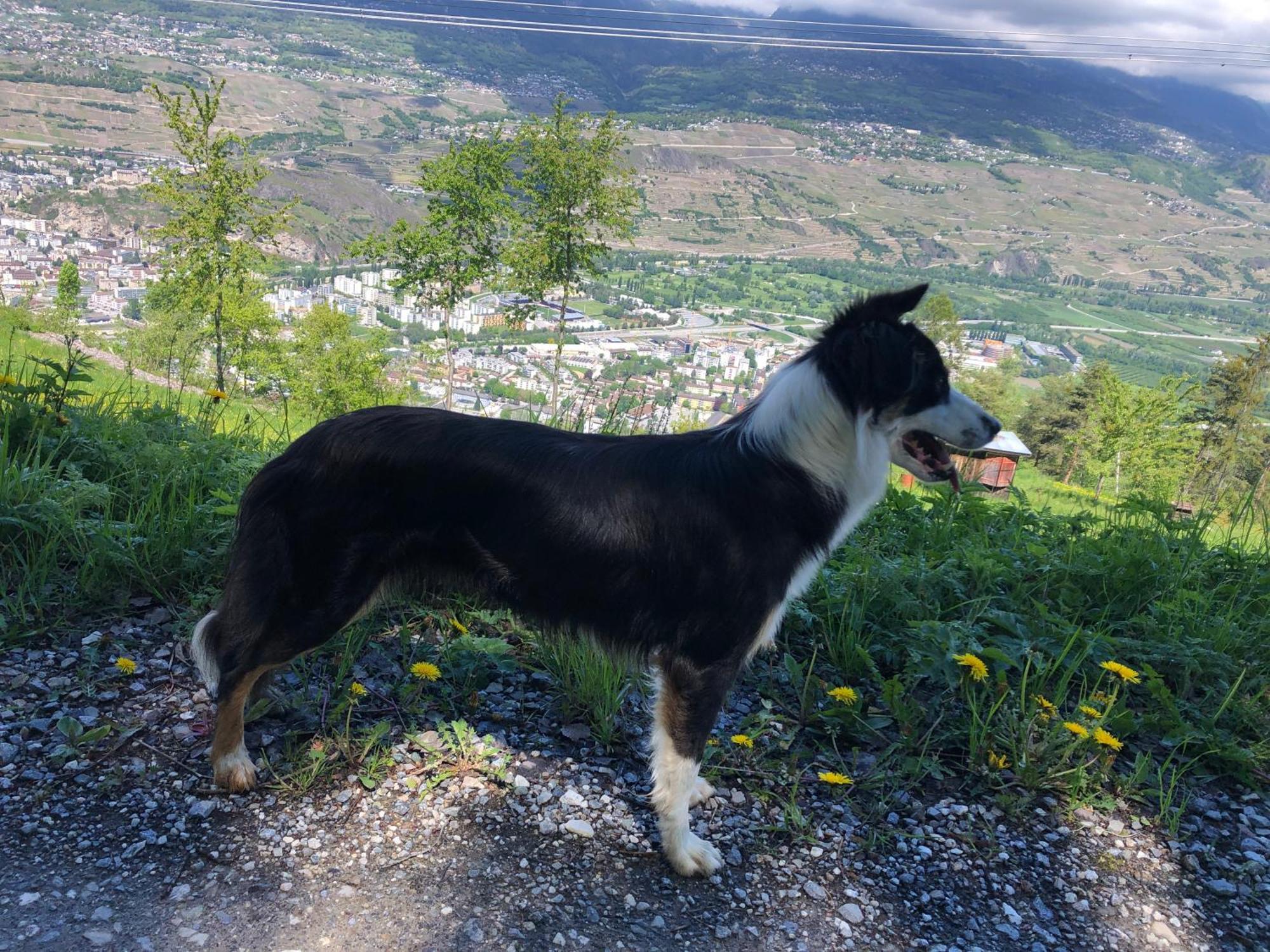 Domaine Bellevie Bnb Vex Exteriér fotografie