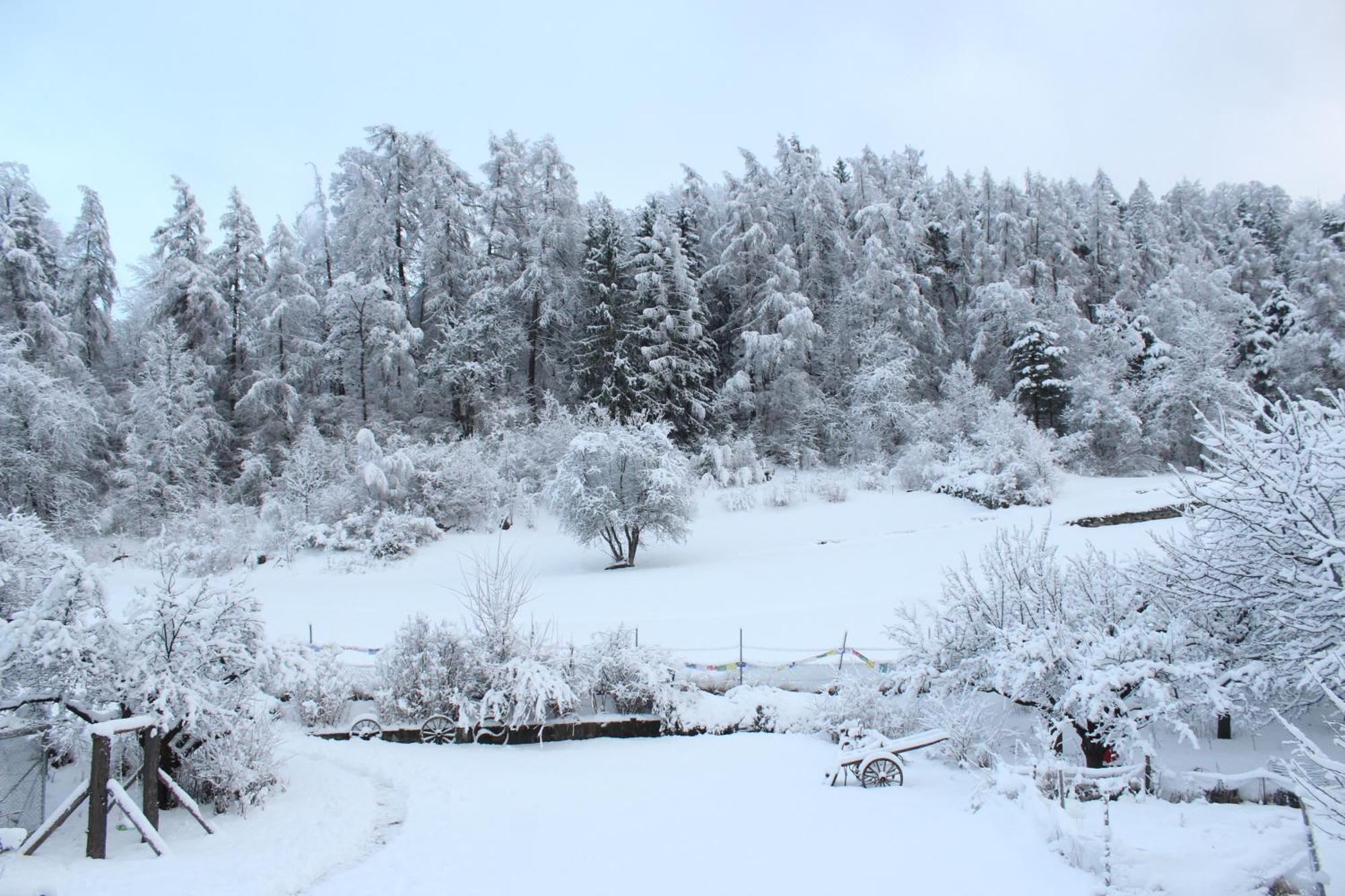 Domaine Bellevie Bnb Vex Exteriér fotografie
